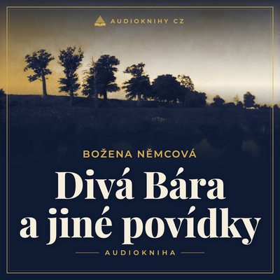 Obal audioknihy Divá Bára a jiné povídky