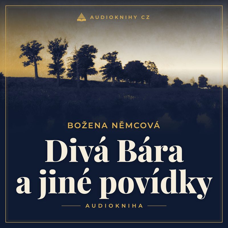 Obal audioknihy Divá Bára a jiné povídky
